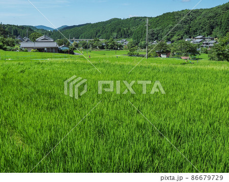 奈良県 奈良市 田園風景 86679729