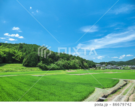 奈良県 奈良市 田園風景 奈良県 奈良市 田園風景 86679742