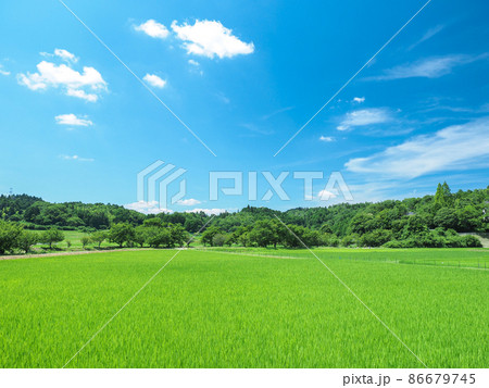 奈良県 奈良市 田園風景 86679745