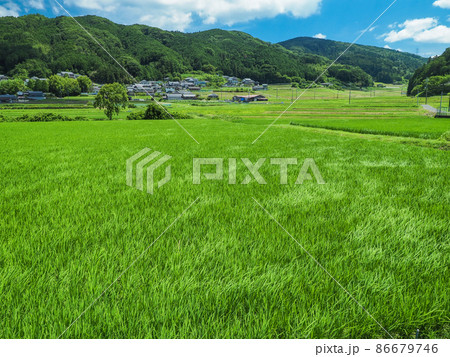 奈良県 奈良市 田園風景 86679746