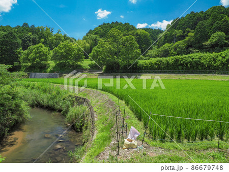 奈良県 奈良市 田園風景 奈良県 奈良市 田園風景 86679748