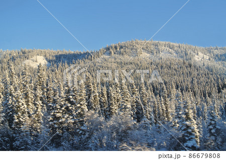 アラスカの風景(アラスカ鉄道 車窓からの眺め) 86679808