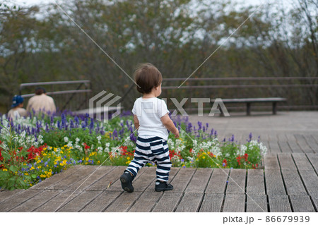 お散歩をする小さな子供の後ろ姿 86679939