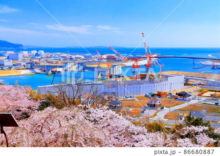 満開の桜と復旧工事中の北上川河口付近 満開の桜と復旧工事中の北上川河口付近 86680887