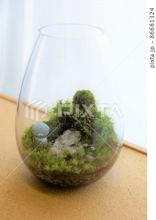 犬のお地蔵さんがいる苔テラリウム 犬のお地蔵さんがいる苔テラリウム 86681324