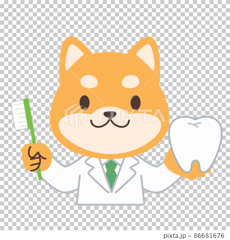 Dog dentist 86681676