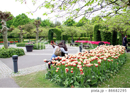 キューケンホフ公園の広大な庭園 キューケンホフ公園の広大な庭園 86682295