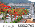 デイゴとコーラル橋 86682703