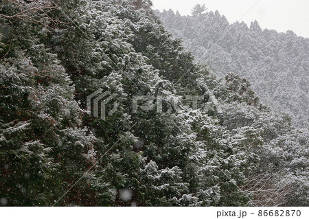 冬の別府峡　別府渓谷 86682870