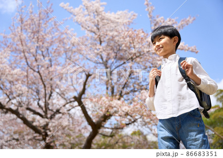 青空のもとで桜の木の前に立つ笑顔の小学生男子 青空のもとで桜の木の前に立つ笑顔の小学生男子 86683351