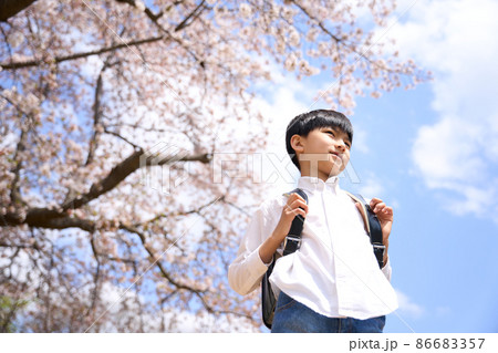 青空のもとで桜の木の前に立つ小学生の男の子 86683357