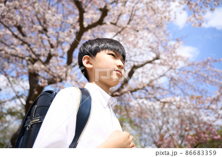 青空のもとで桜の木の前に立つ小学生の男の子 86683359