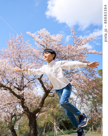 桜の木の前で両手を広げて走る男の子 86683364