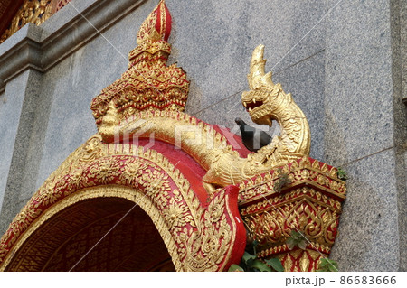 アジア人 アジアン アジア風 86683666