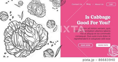 Is cabbage good for you, healthy dieting meal Is cabbage good for you, healthy dieting meal 86683940