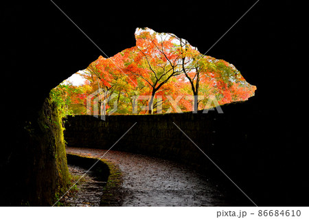 曽木の滝公園 86684610