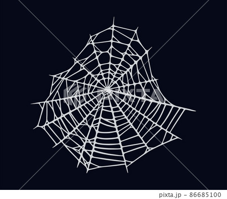 Spider web isolated on black background. Spooky Halloween cobweb. Vector illustration 86685100