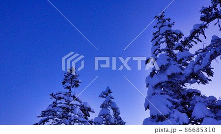 雪景色の松 86685310
