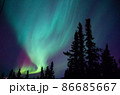 オーロラ（フェアバンクス） 86685667