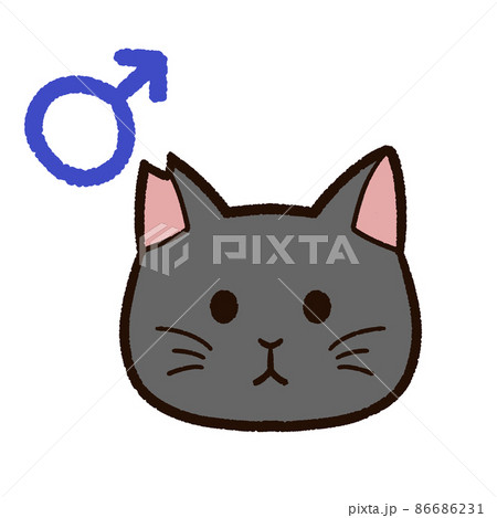 さくらねこ オス 黒猫 さくらねこ オス 黒猫 86686231