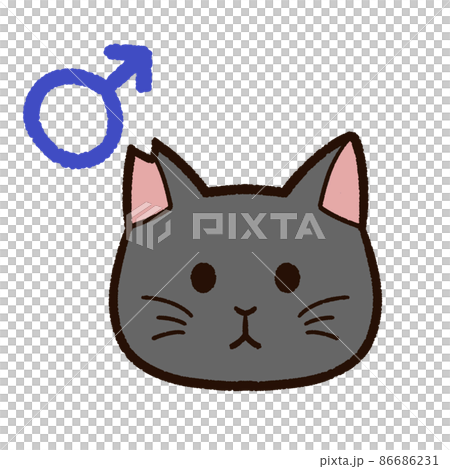 さくらねこ オス 黒猫 さくらねこ オス 黒猫 86686231