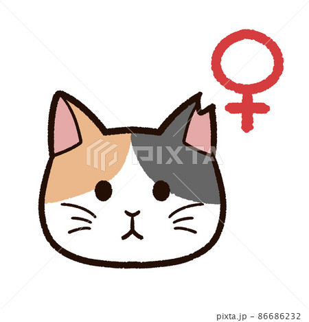 三毛猫、イラストボード22cm×30,5cm 三毛猫、イラストボード22cm×30,5cm 三毛猫、イラストボード22cm×