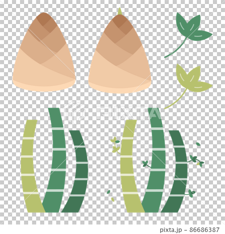 春　手描き　たけのこ　筍　竹　セット　イラスト　食材　春野菜　挿絵　春の味覚　かわいい　葉っぱ　葉 86686387