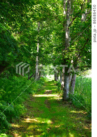 旧鶴居軌道 旧鶴居軌道 86686450