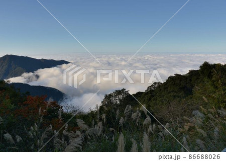 景色 風景 台湾 86688026