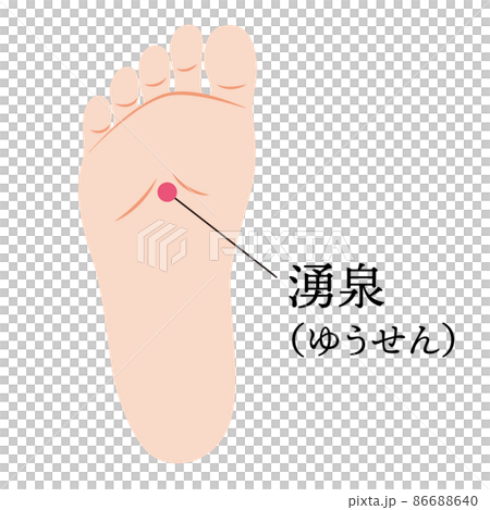 足のツボ　湧泉 86688640