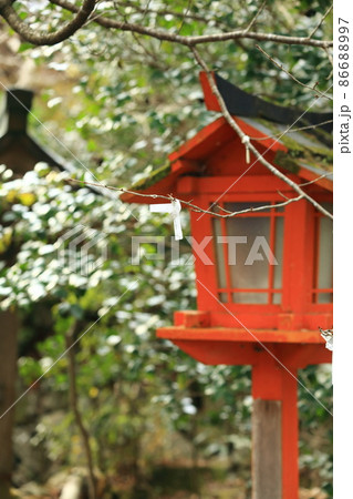 枝に結ばれたお御籤 86688997