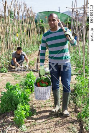 Farmer with basket of vegetables in the garden 86689112