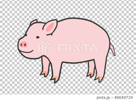 Pig Pig 86689729