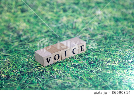 文字ブロック　VOICE 86690314