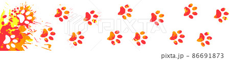 track of cat footprints smeared in bright paint. Animal paw prints on splashes of watercolor paint back. Horizontal banner vector isolated on white background track of cat footprints smeared in bright paint. Animal paw prints on splashes of watercolor paint back. Horizontal banner vector isolated on white background 86691873