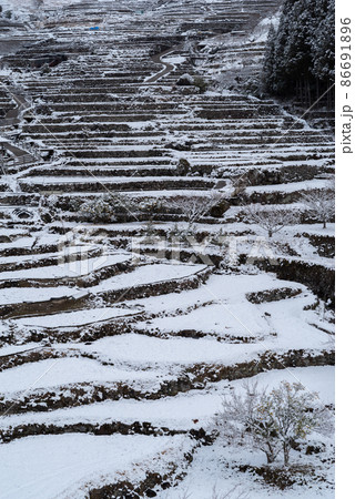 雪景色の棚田 四谷千枚田 雪景色の棚田 四谷千枚田 86691896