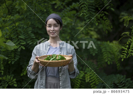 収穫野菜を持つ女性 収穫野菜を持つ女性 86693475