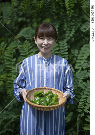 収穫野菜を持つ女性 86693496