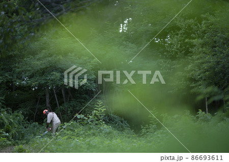 木を伐採する男性 木を伐採する男性 86693611