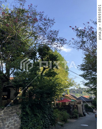 静岡県 浜松市 ぬくもりの森 静岡県 浜松市 ぬくもりの森 86693801