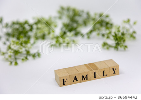 文字ブロック　FAMILY 86694442