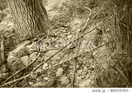 Difficult rocky and thorny path 86694465