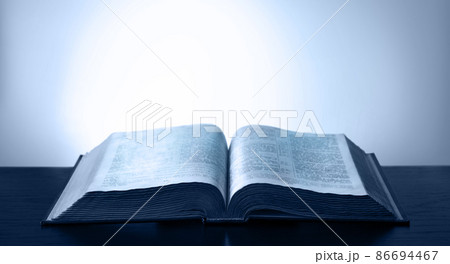 Still life from ancient book 86694467