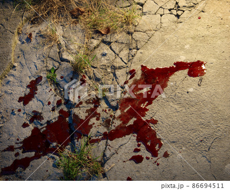 Blood stains on stony ground Blood stains on stony ground 86694511