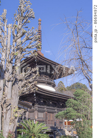 雨引観音　桜川市 86694972