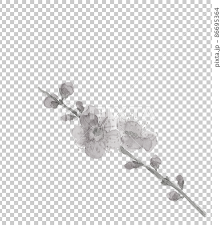 一枝の紅梅 モノトーン【水墨画風水彩画】白バック 透過背景コピースペースあり 86695364