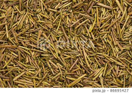 ほうじ茶　日本茶 86695427