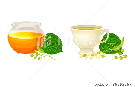 Linden or Tilia Cordata Honey in Jar and Brewing Tea in Cup with Blossom Nearby Vector Set Linden or Tilia Cordata Honey in Jar and Brewing Tea in Cup with Blossom Nearby Vector Set 86695567