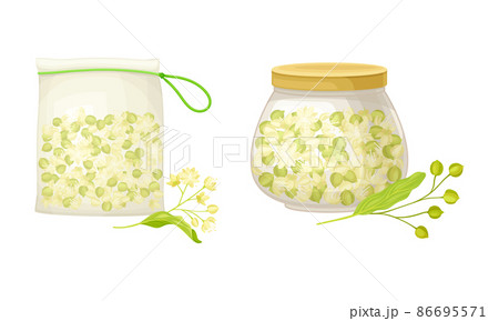Linden or Tilia Cordata Honey in Jar and Bag with Blossom Nearby Vector Set 86695571