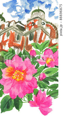 camellia22210pix7 camellia22210pix7 86696875